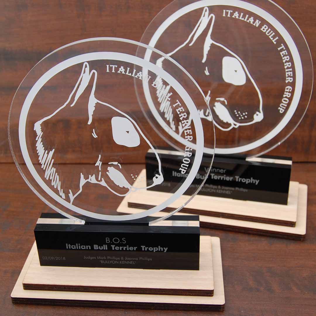 Premi Italian Bull Terrier Trophy in plexiglass trasparente con incisione cane bull terrier e base doppia in legno.